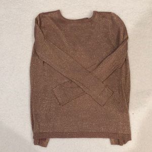 Rose gold sparkly Zara Knit top with open back